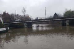 Izlet Članice foto: Ivica Jeromen