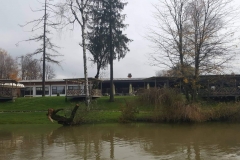 Izlet Članice foto: Ivica Jeromen