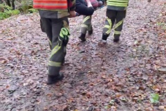 VideoCapture_20231119-215440